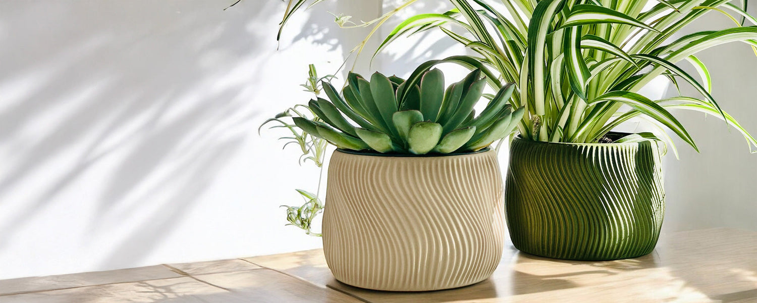 Planters