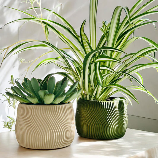 DOLCE | Planter